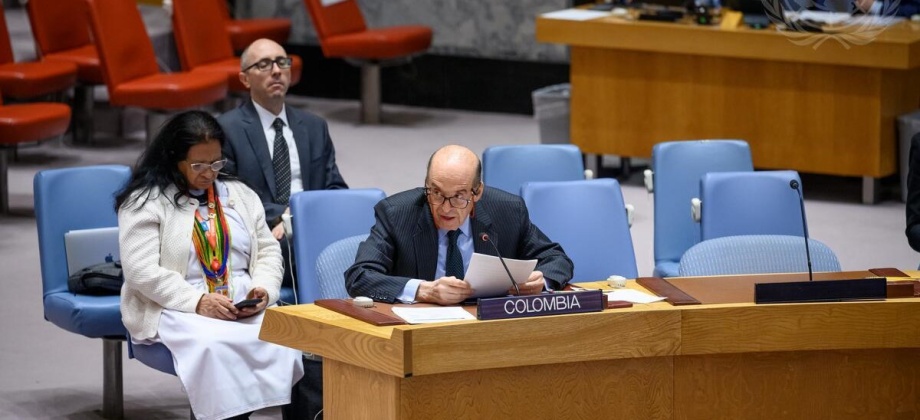 Consejo de Seguridad de la ONU reconoce pasos decisivos del Gobierno colombiano hacia la consolidación de la paz