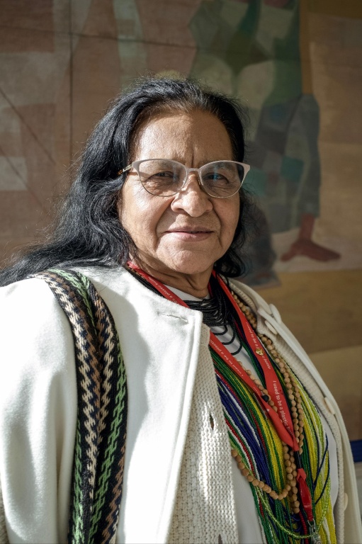 Representante Permanente, Leonor Zalabata Torres