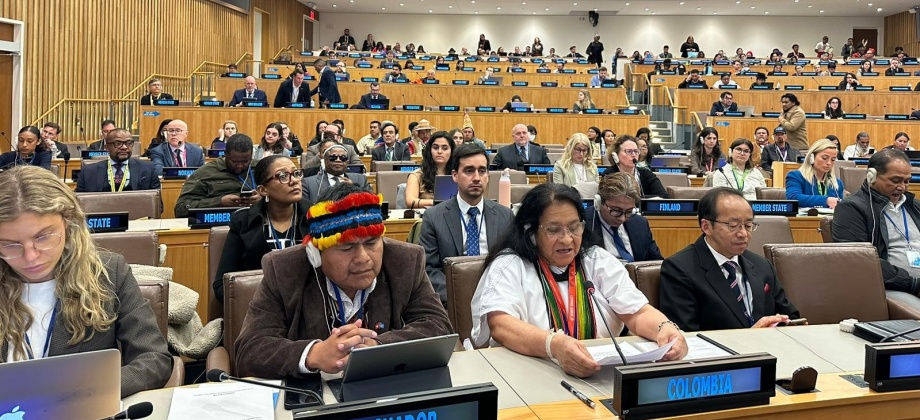 Colombia participa en la audiencia sobre el mejoramiento de la participación de los pueblos indígenas en las Naciones Unidas