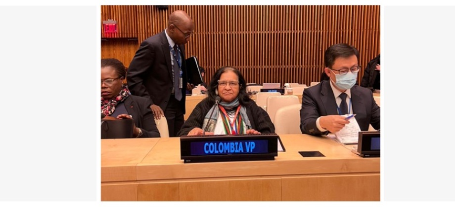 En su calidad de vicepresidente Colombia participa en la primera sesión ordinaria de la Junta Ejecutiva de ONU Mujeres 