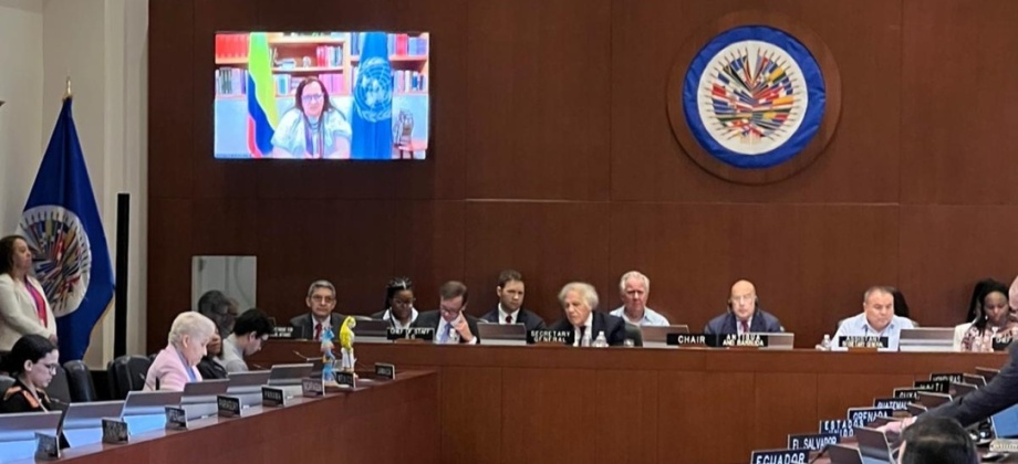 Colombia participa activamente en dos escenarios multilaterales durante el Día Internacional de Los Pueblos Indígenas del Mundo