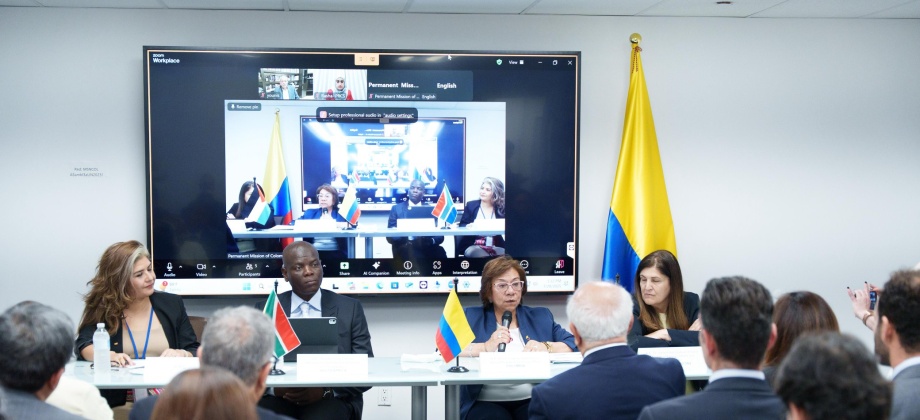 Reunión de alto nivel convocada por los copresidentes del Grupo de La Haya