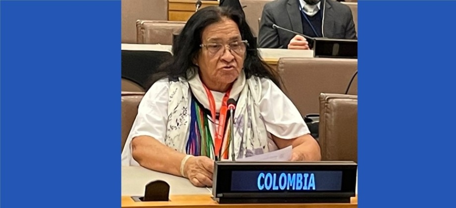 Embajadora Leonor Zalabata elegida por aclamación en la Vicepresidencia de la Junta Ejecutiva de ONU Mujeres para 2023