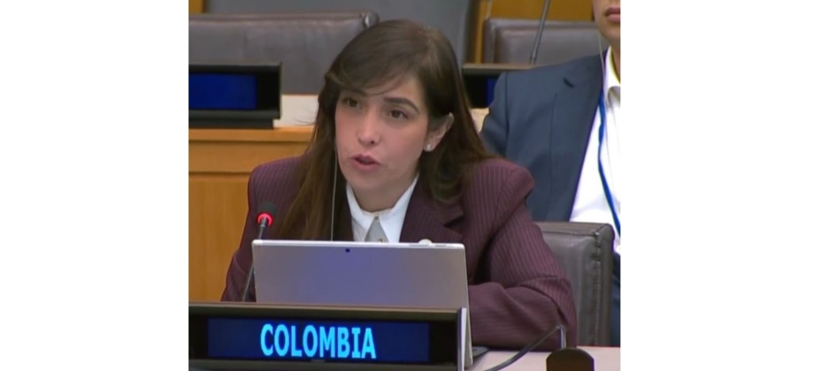 La colombiana Lucía Solano Ramírez es elegida como Vicepresidente de la VI Comisión en representación del Grupo de Estados de América Latina y el Caribe para el 80° período de sesiones de la Asamblea General de la ONU