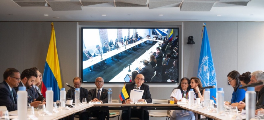 Canciller colombiano presidió la Reunión Ministerial para lograr la sostenibilidad, recuperación y el fomento del desarrollo sostenible del Grupo de Países de Renta Media