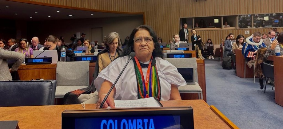 Colombia participa activamente en la 22ª Sesión del Foro Permanente para las Cuestiones Indígenas