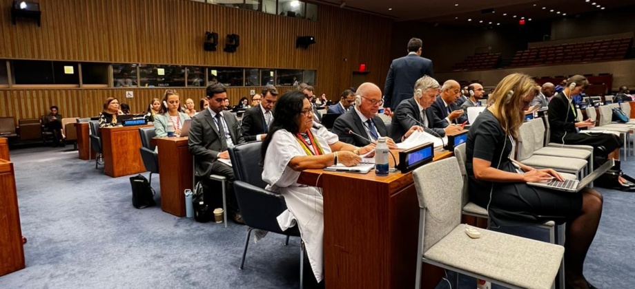 Colombia participa activamente en la reunión de Fórmula Arria del Consejo de Seguridad sobre Juventud, Paz y Seguridad en África