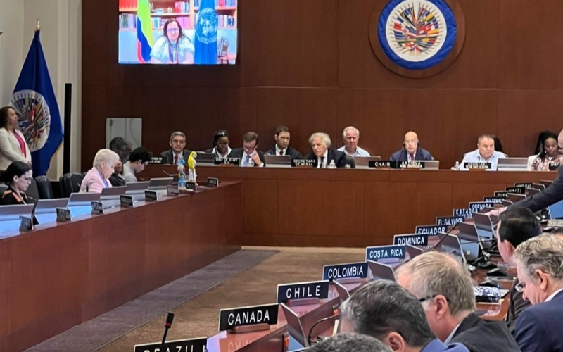 Colombia participa activamente en dos escenarios multilaterales durante el Día Internacional de Los Pueblos Indígenas del Mundo