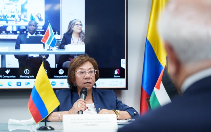 Reunión de alto nivel convocada por los copresidentes del Grupo de La Haya