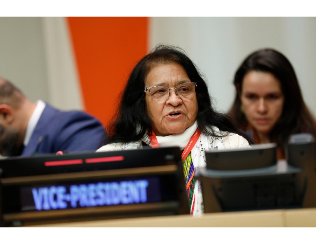 En su calidad de vicepresidente Colombia preside la tercera reunión de la Junta Ejecutiva de ONU Mujeres 