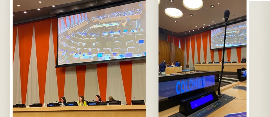 Colombia es elegida miembro de la Comisión para la Condición Jurídica y Social de la Mujer para el periodo 2024-2028