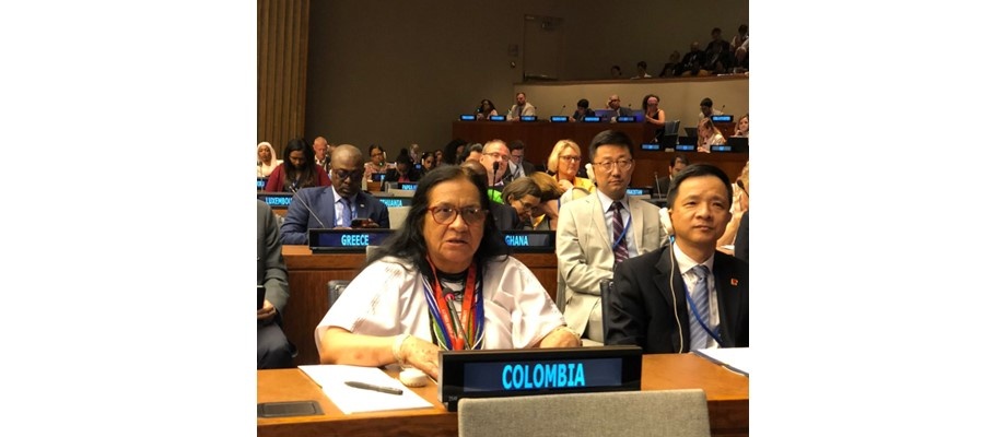 Colombia participa de manera activa en el foro político de alto nivel de las Naciones Unidas sobre desarrollo sostenible Colombia participa de manera activa en el foro político de alto nivel de las Naciones Unidas sobre desarrollo sostenible