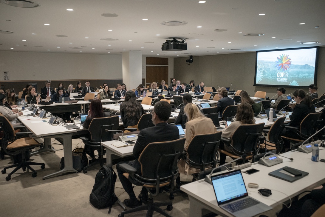 Colombia lleva a cabo el primer briefing sobre la COP16 en Naciones Unidas