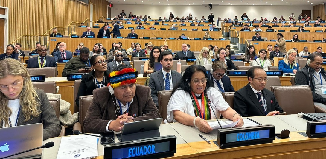 Colombia participa en la audiencia sobre el mejoramiento de la participación de los pueblos indígenas en las Naciones Unidas Colombia participa en la audiencia sobre el mejoramiento de la participación de los pueblos indígenas en las Naciones Unidas