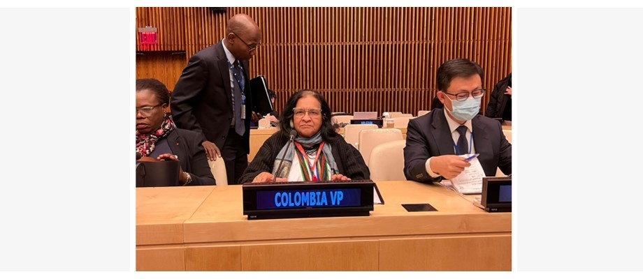 En su calidad de vicepresidente Colombia participa en la primera sesión ordinaria de la Junta Ejecutiva de ONU Mujeres 