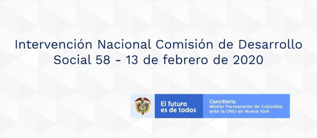 Intervención Nacional Comisión de Desarrollo Social 58 - 13 de febrero de 2020