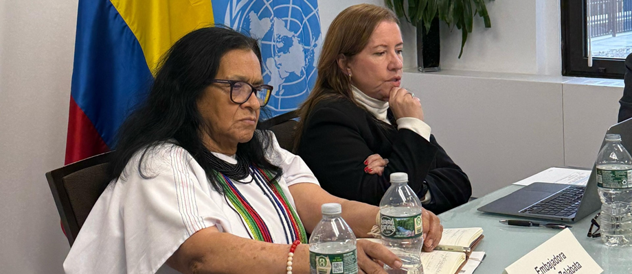 Diálogo Informal en la Misión Permanente de Colombia ante las Naciones Unidas con la Relatora Especial para los Derechos de los Desplazados Internos, Paula Gaviria Betancur Diálogo Informal en la Misión Permanente de Colombia ante las Naciones Unidas con la Relatora Especial para los Derechos de los Desplazados Internos, Paula Gaviria Betancur
